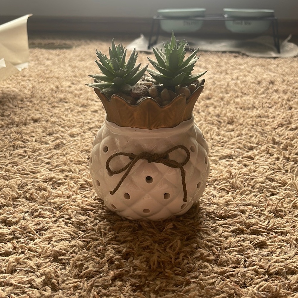 PINEAPPLE HOME DECOR 🍍